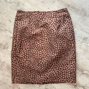 Ann Taylor skirt